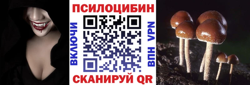 Купить  Улан-Удэ  Псилоцибиновые грибы Magic Shrooms 